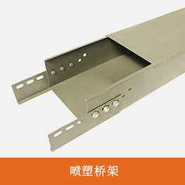 喷塑桥架 (2)