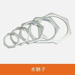 水钠子